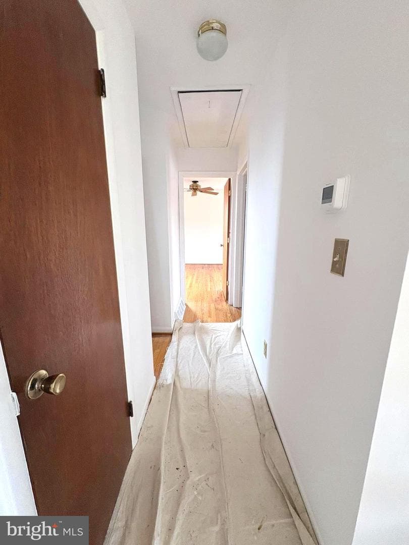 128 Francis Street photo 12