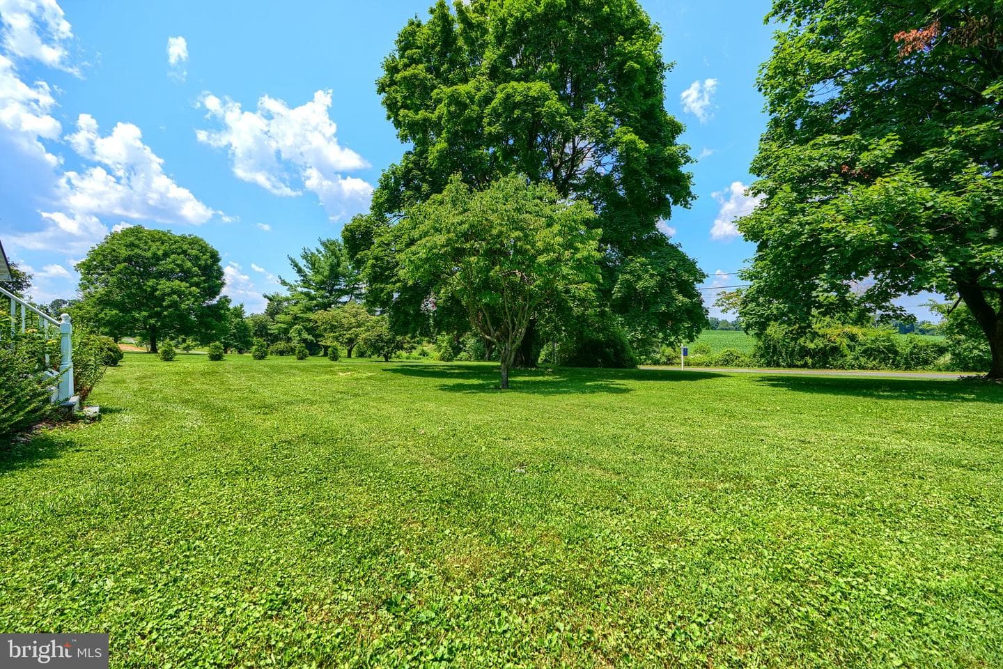 1701 Scott Road photo 5