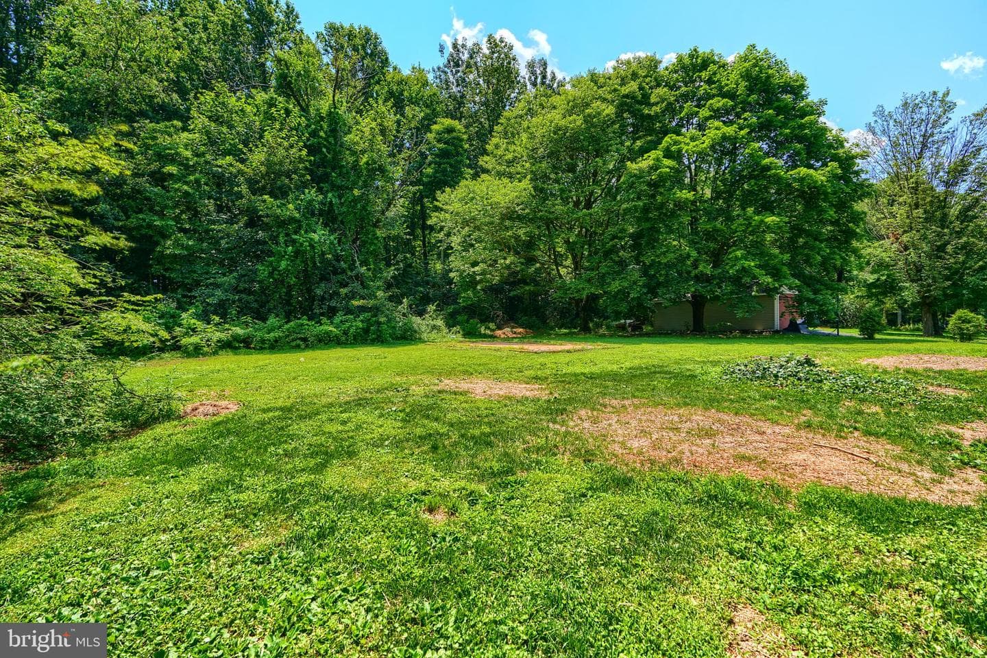 1701 Scott Road photo 78