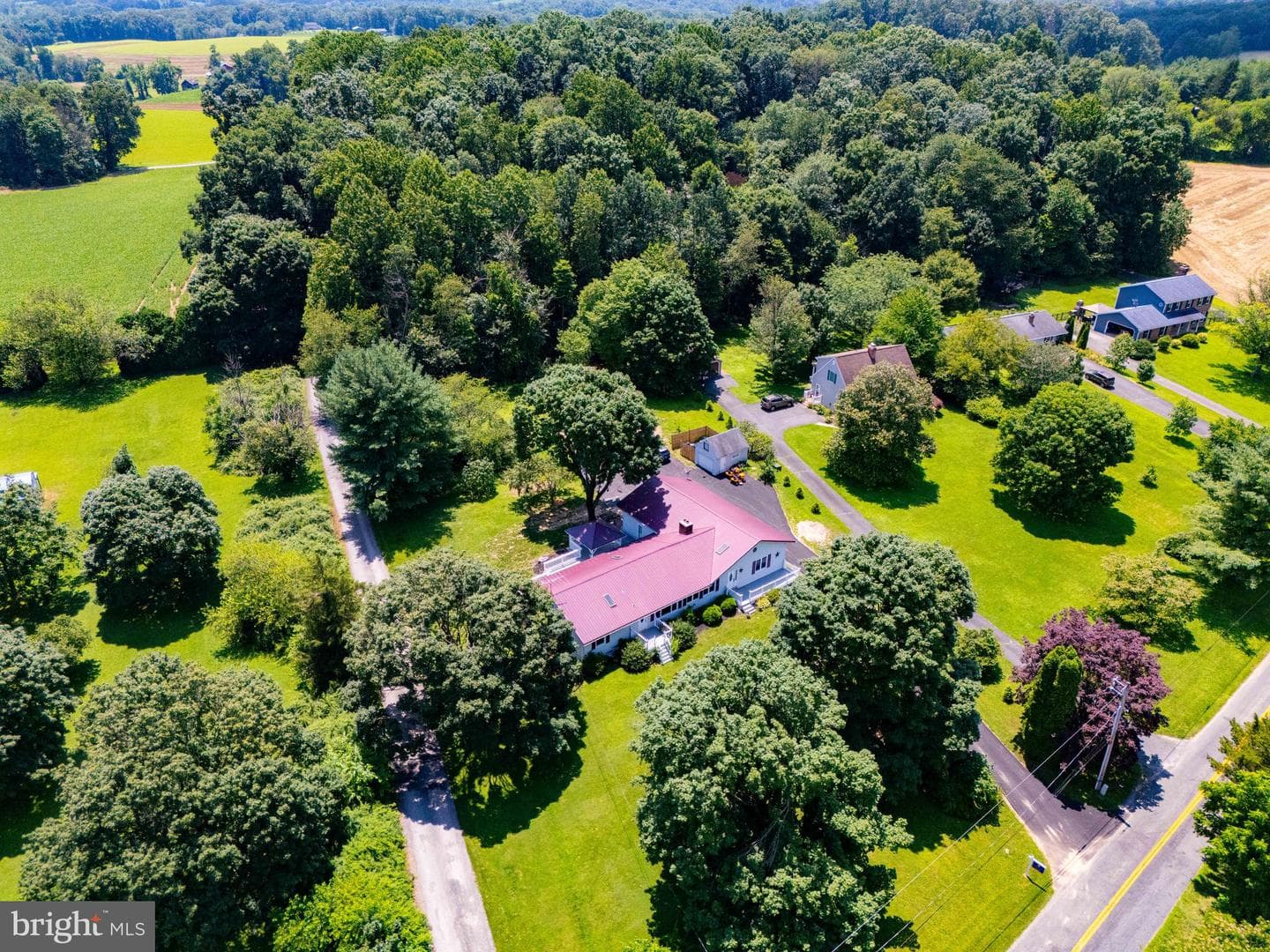 1701 Scott Road photo 86
