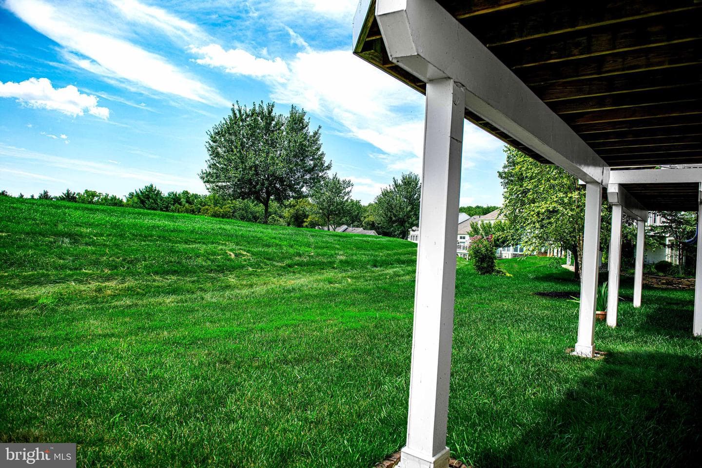 459 Majestic Prince Circle photo 49