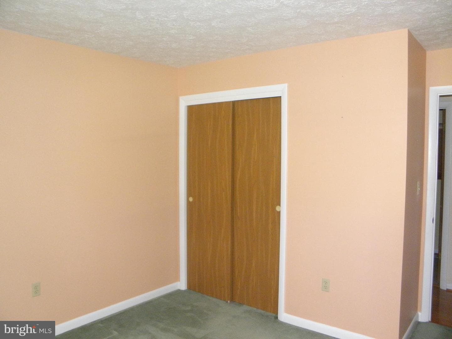 863 Flintlock Drive photo 27