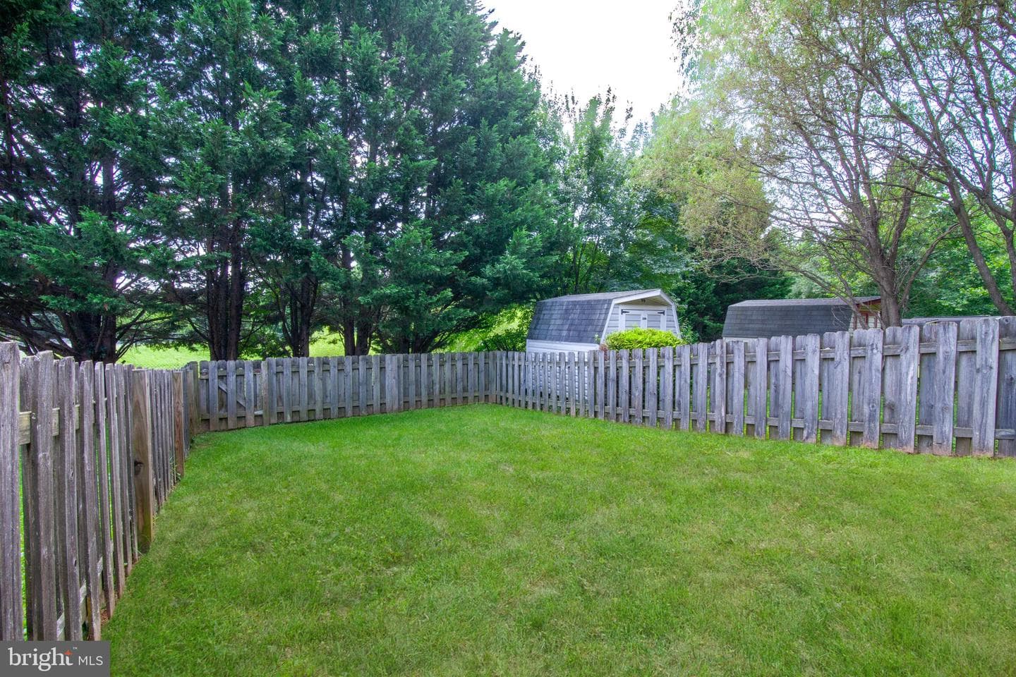 902 Felicia Court photo 24