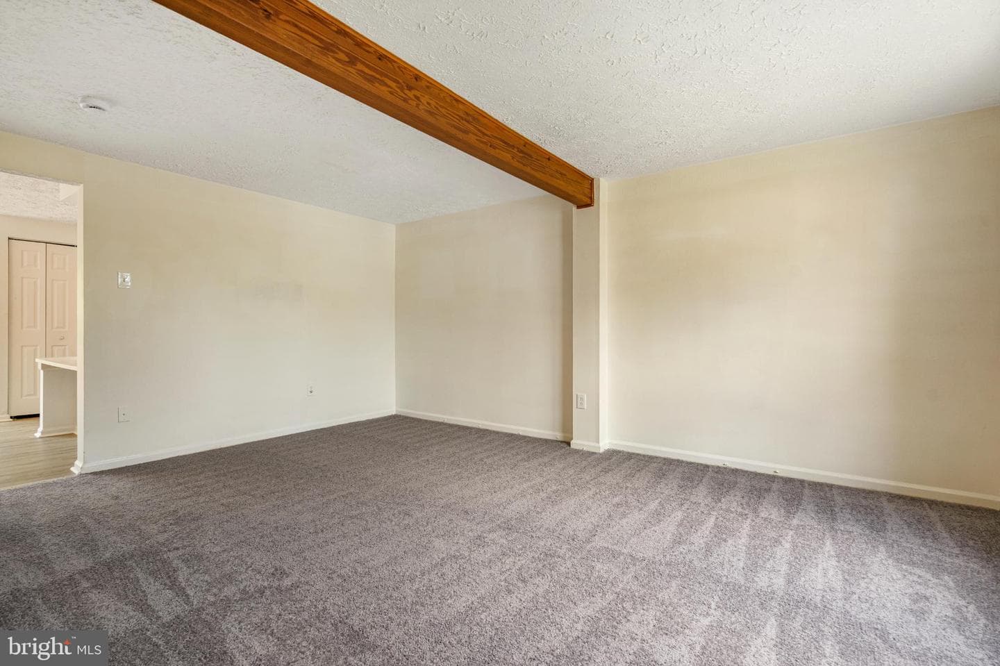3322 Racoon Court photo 3