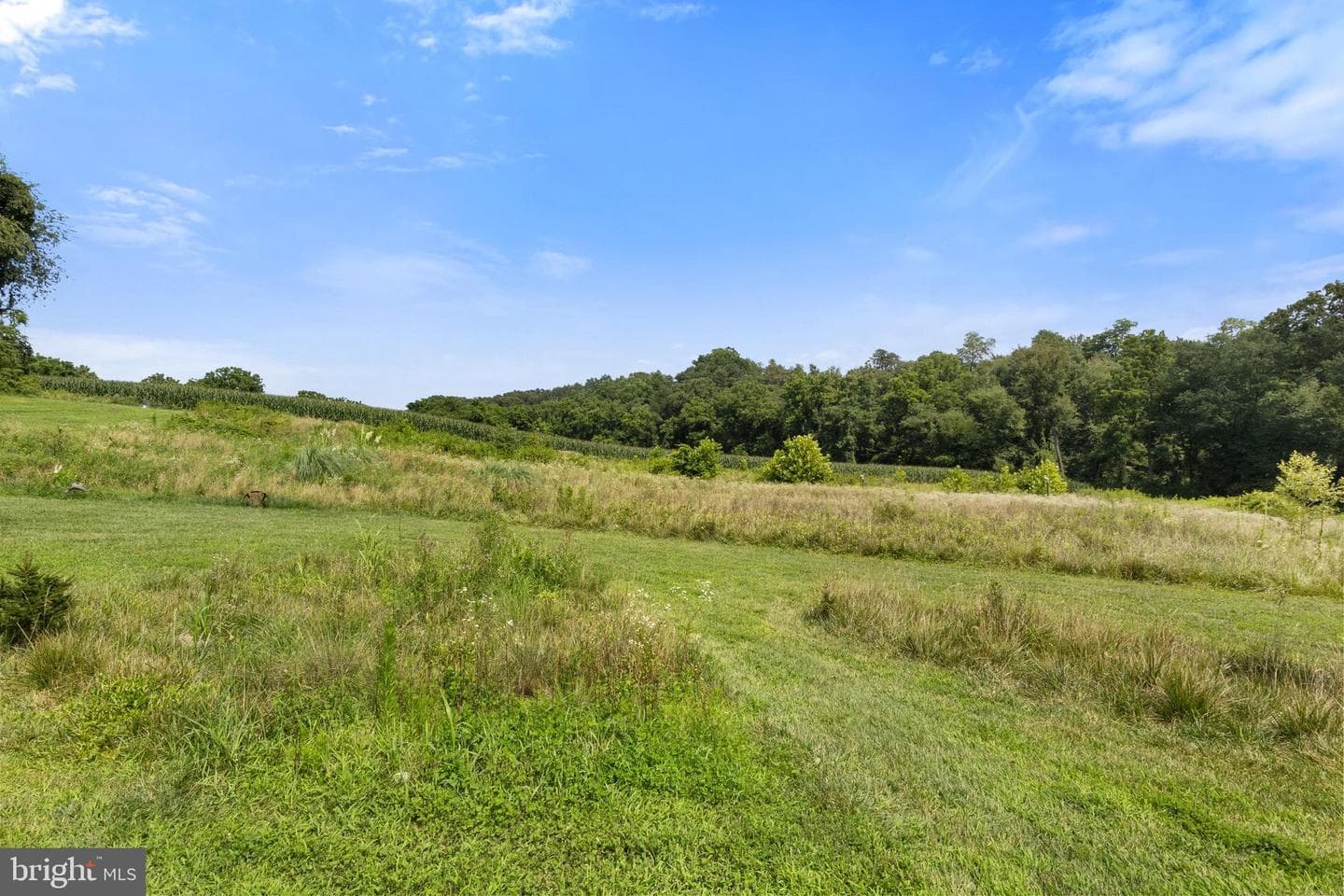 3017 Troyer Road photo 63