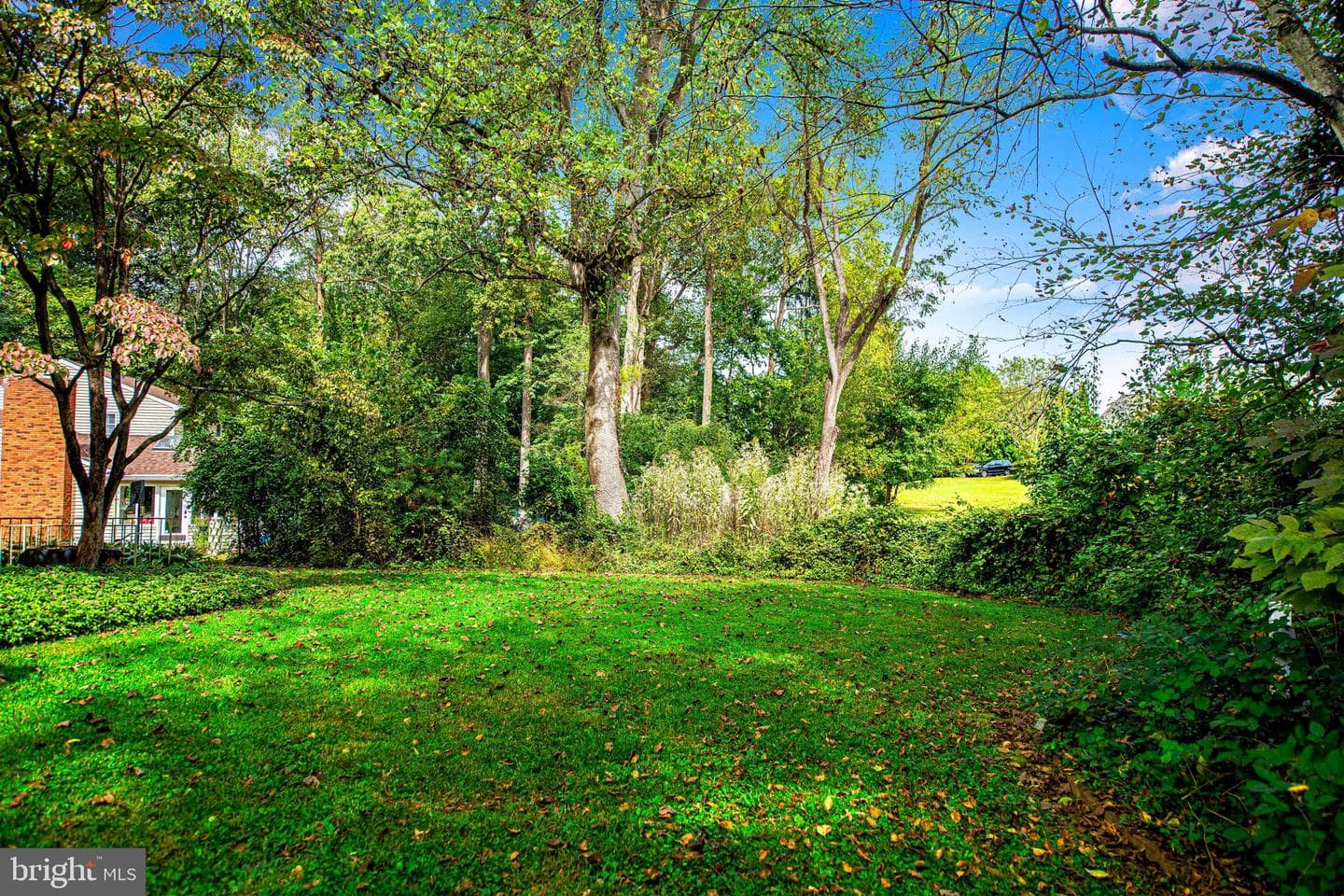 203 Goucher Way photo 19