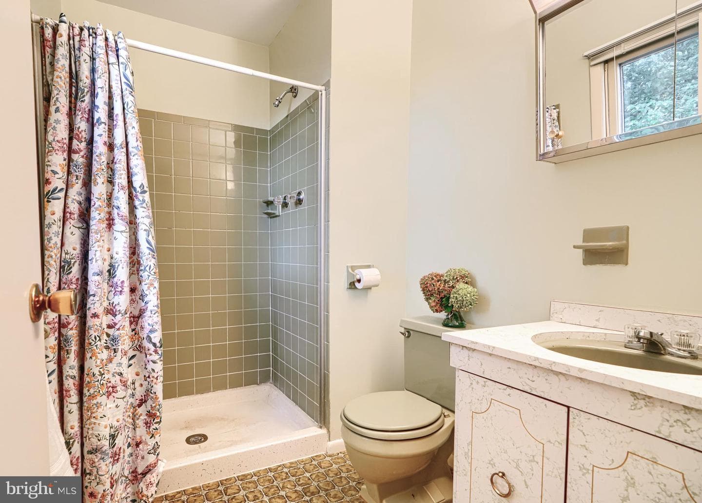 117 Royal Oak Drive photo 27