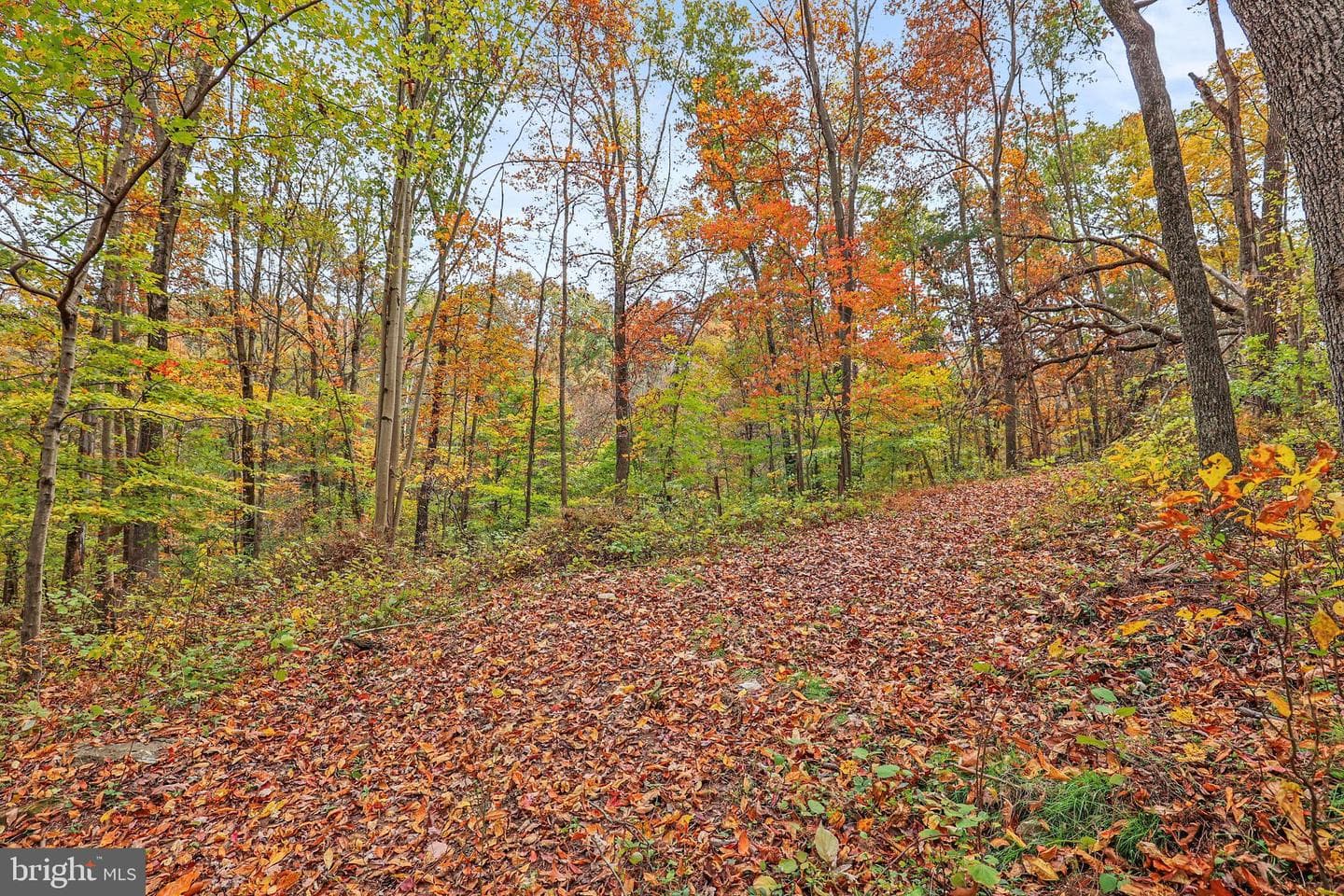 1033 Taylor Road photo 46