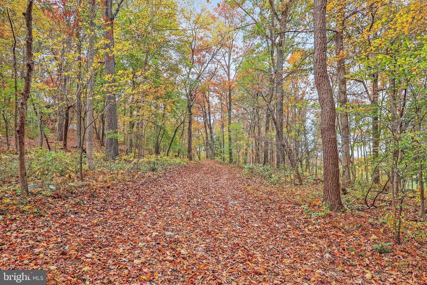 1033 Taylor Road photo 47