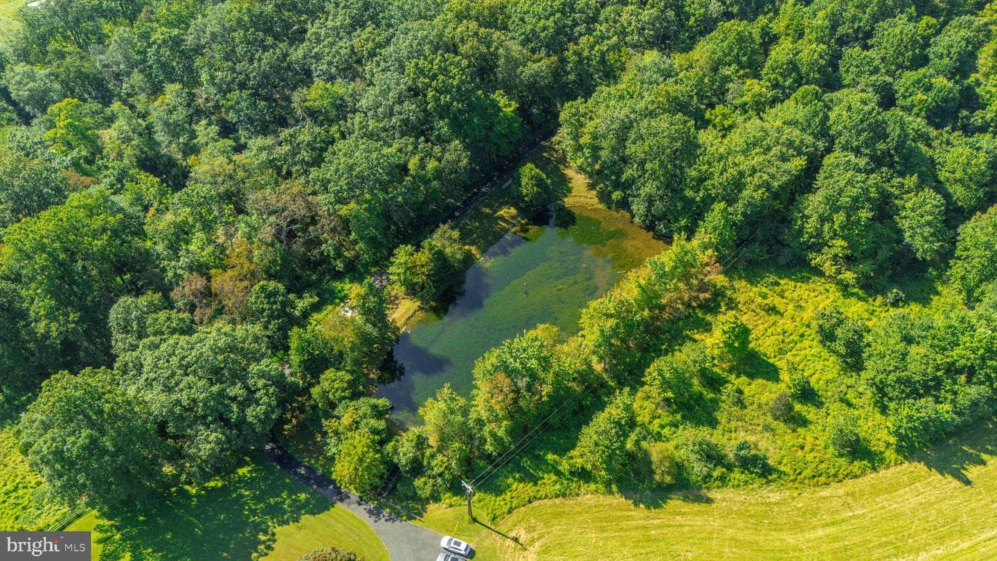 1134 Chrome Hill Road photo 9
