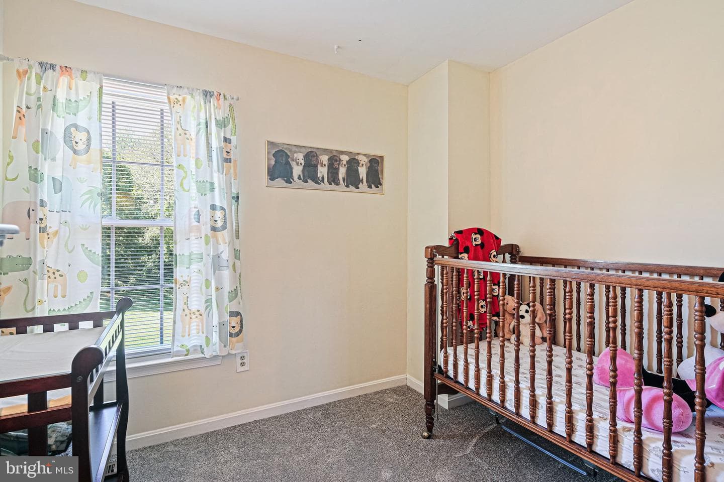 234 Hunters Run Terrace photo 19