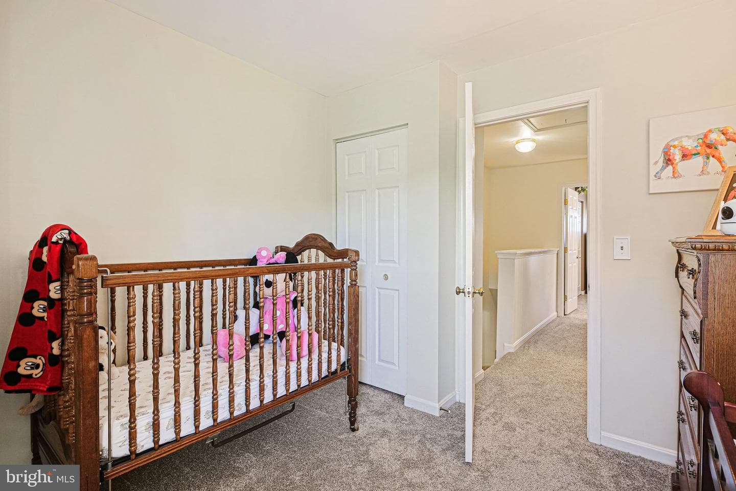 234 Hunters Run Terrace photo 20