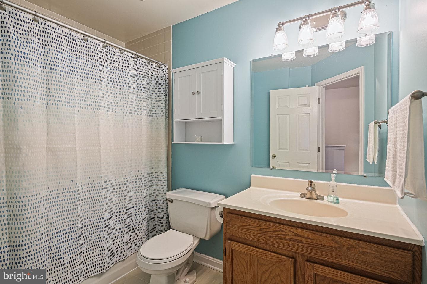234 Hunters Run Terrace photo 21