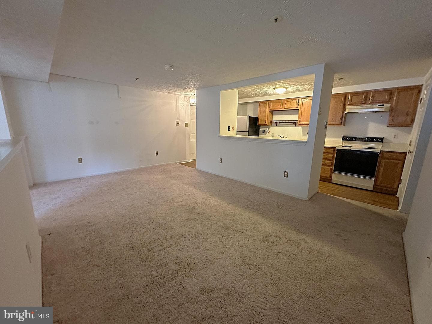 1302 Clover Valley Way #1302 D photo 8