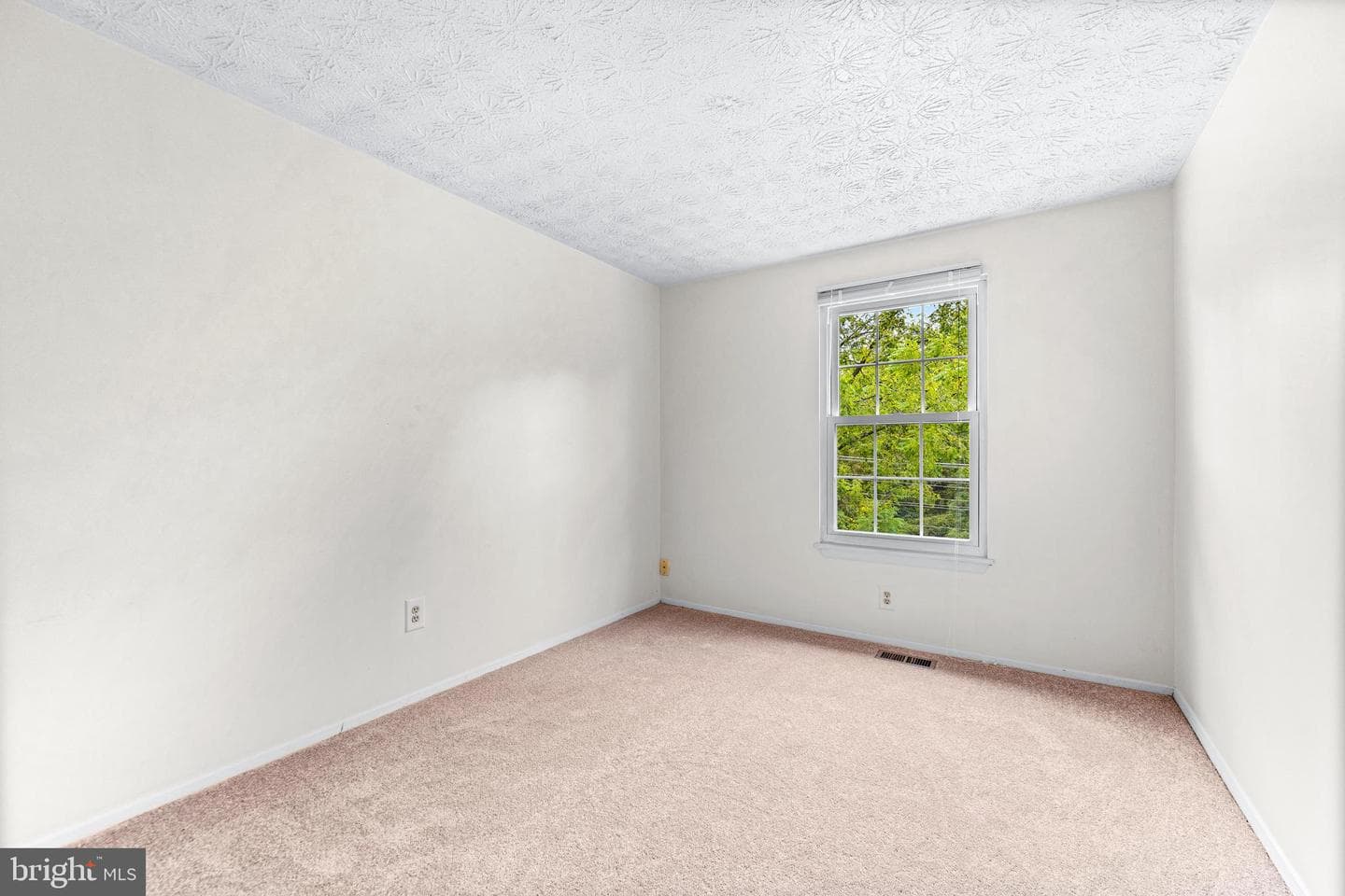 929 Todd Road photo 21