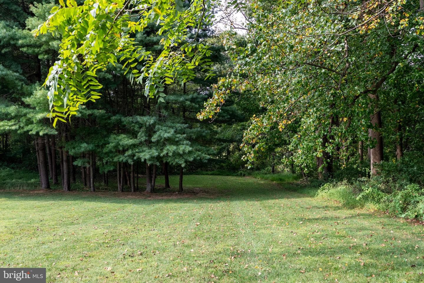 2508 Crestview Drive Crestview Drive photo 6