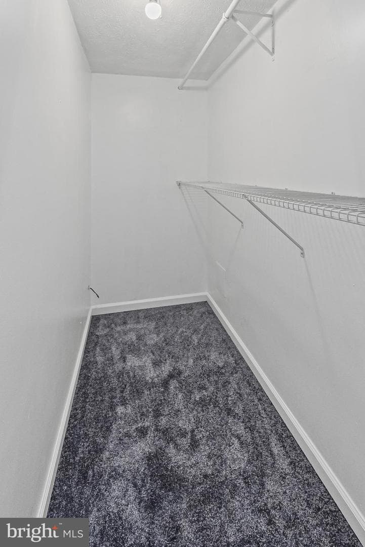 130 Ravenswood Court photo 20