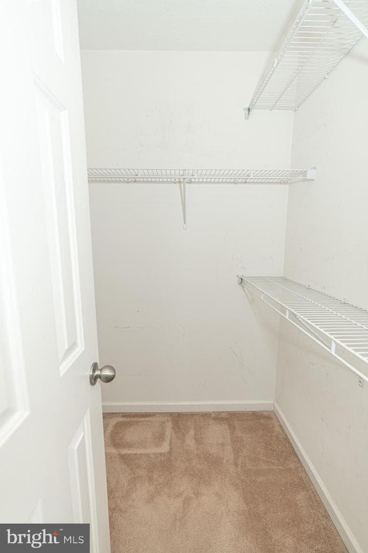 4862 Atlas Cedar Way photo 21