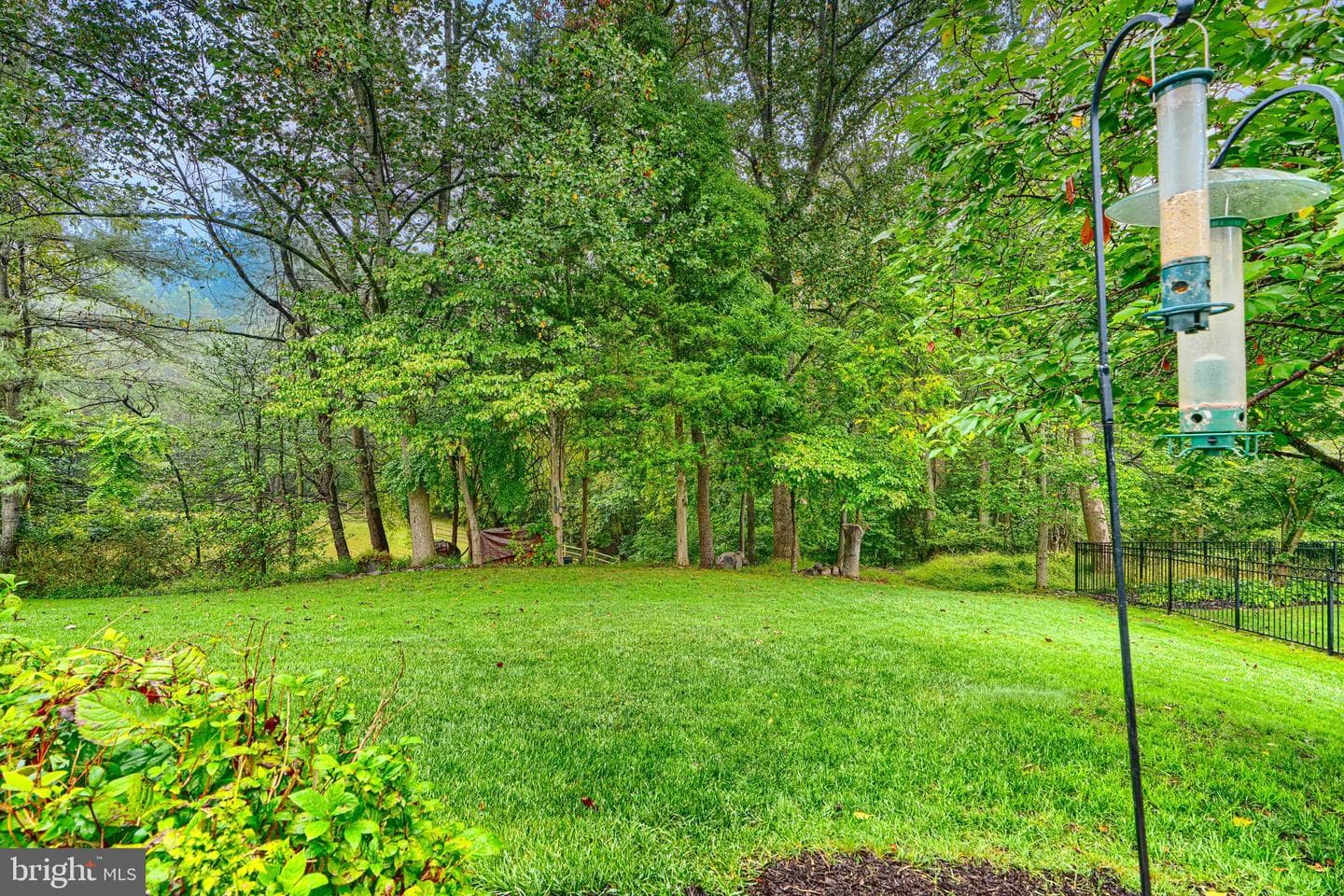 2007 Royal Fern Court photo 69