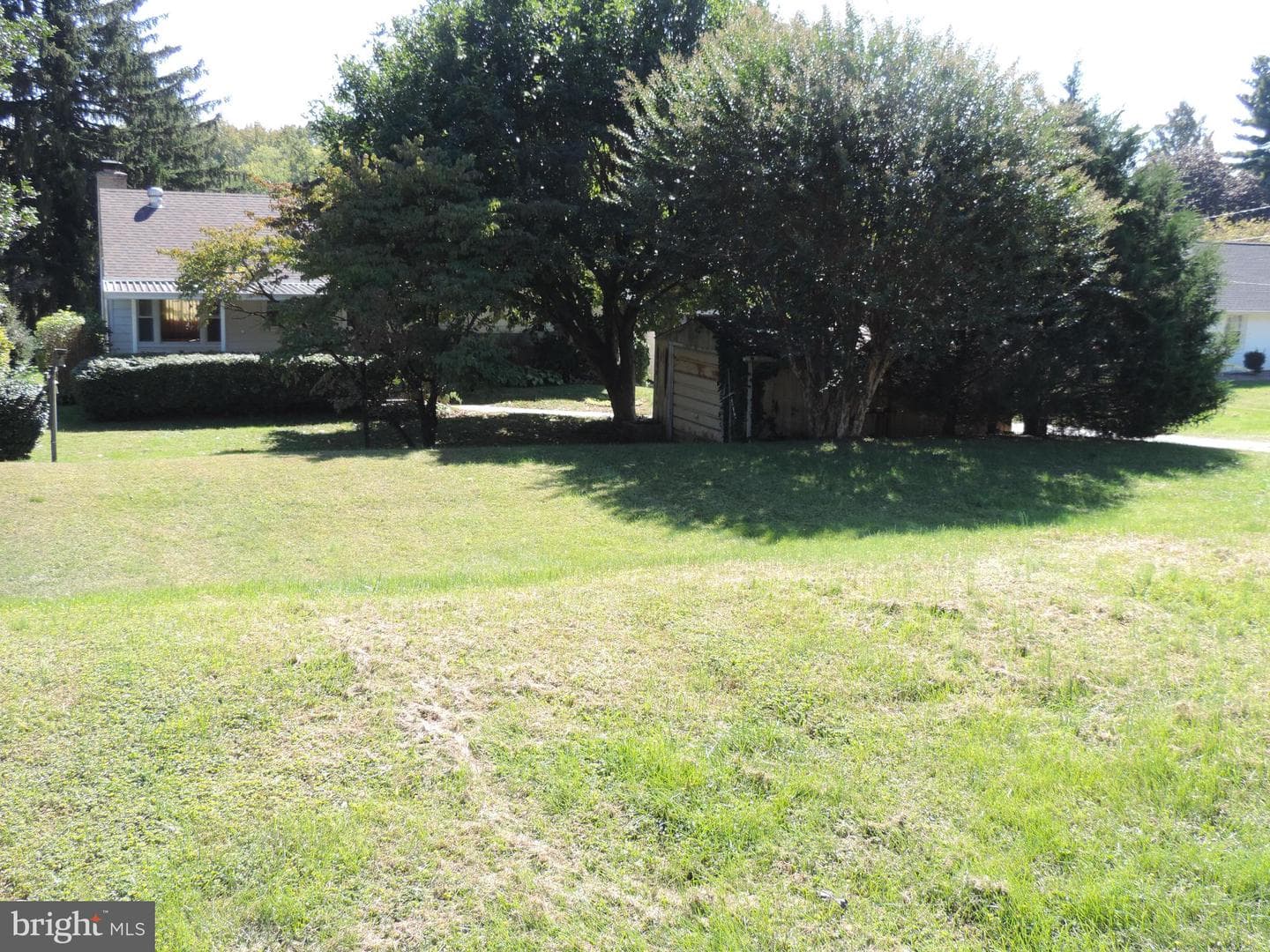 408 Clover Street photo 6
