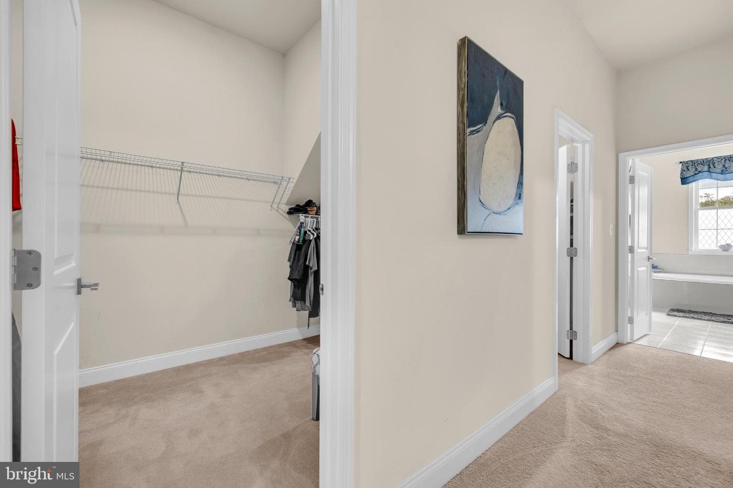 2803 Moorgrass Court photo 73