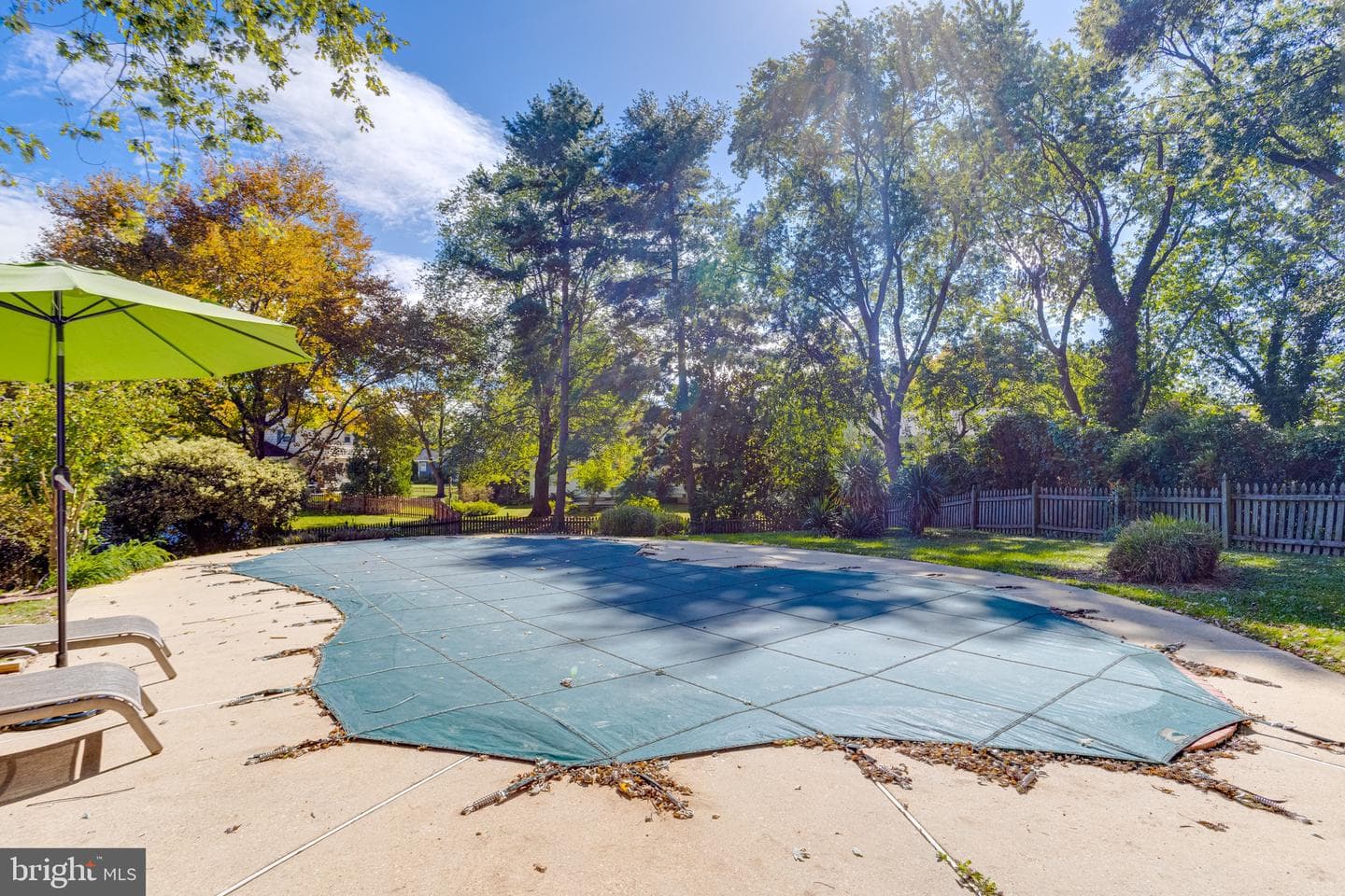 221 Kershaw Court photo 66