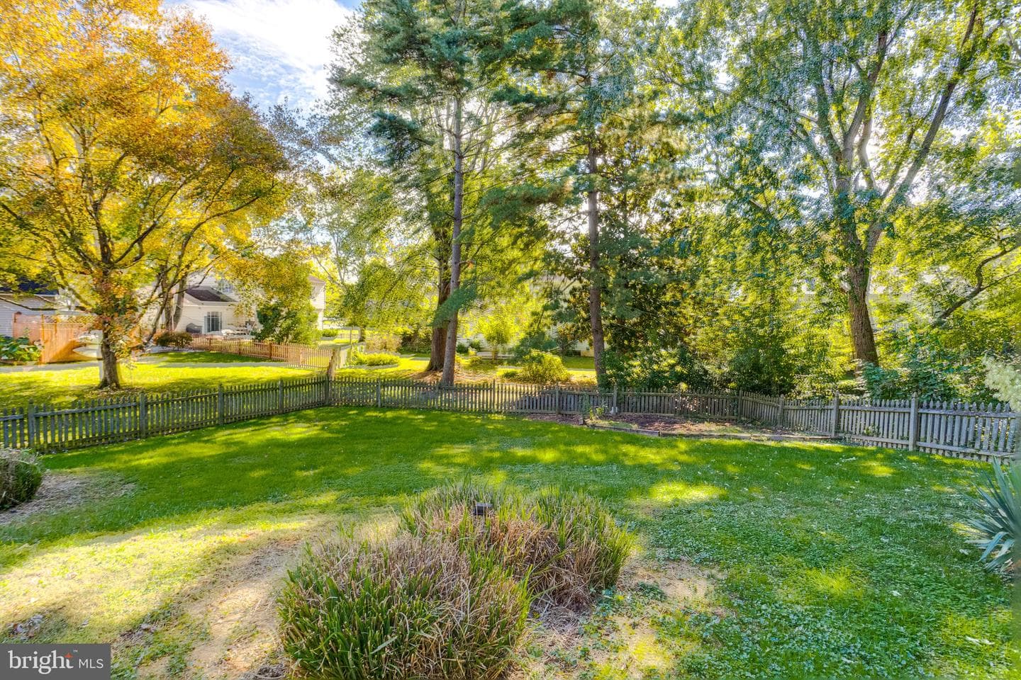 221 Kershaw Court photo 68