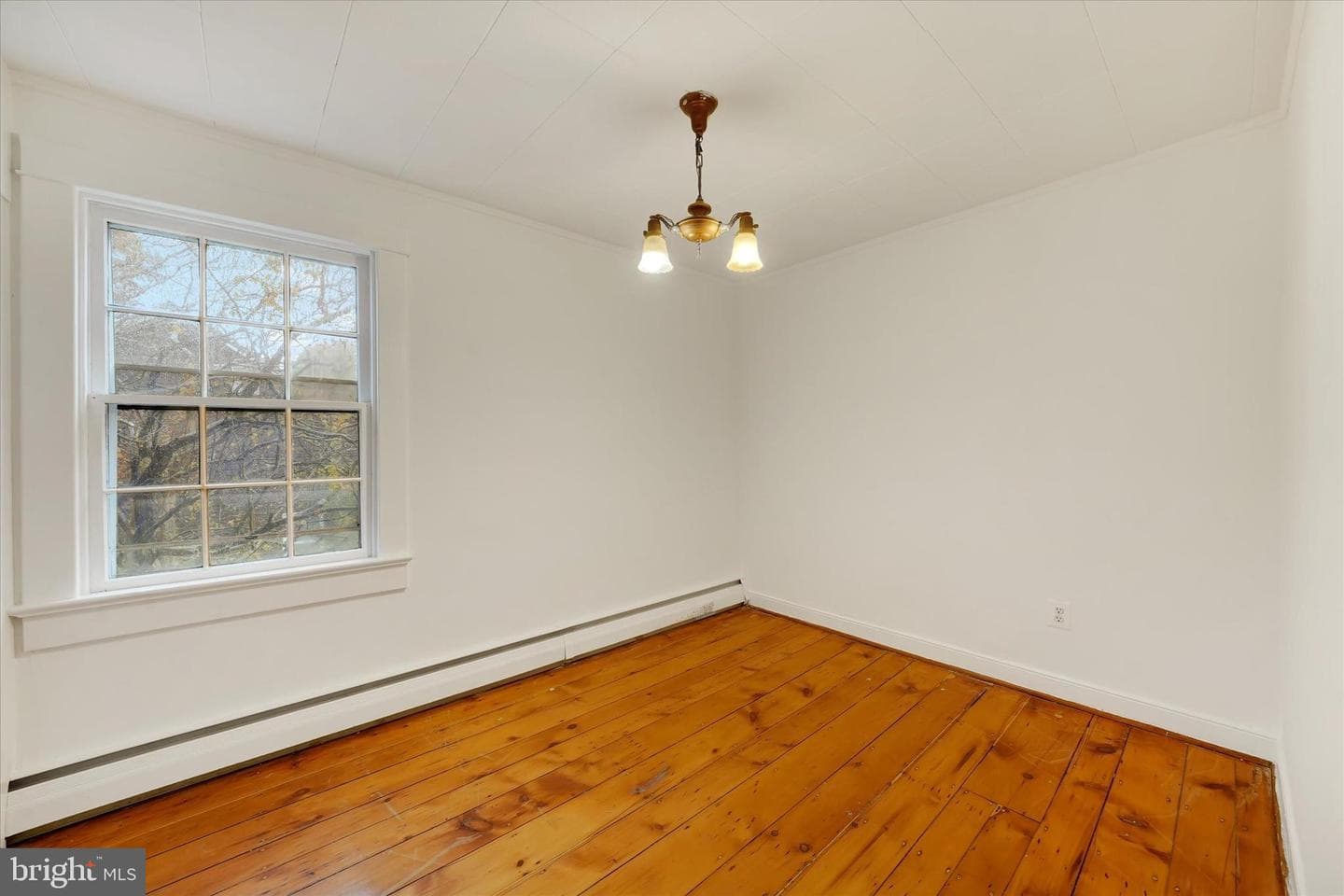 556 Congress Avenue photo 19