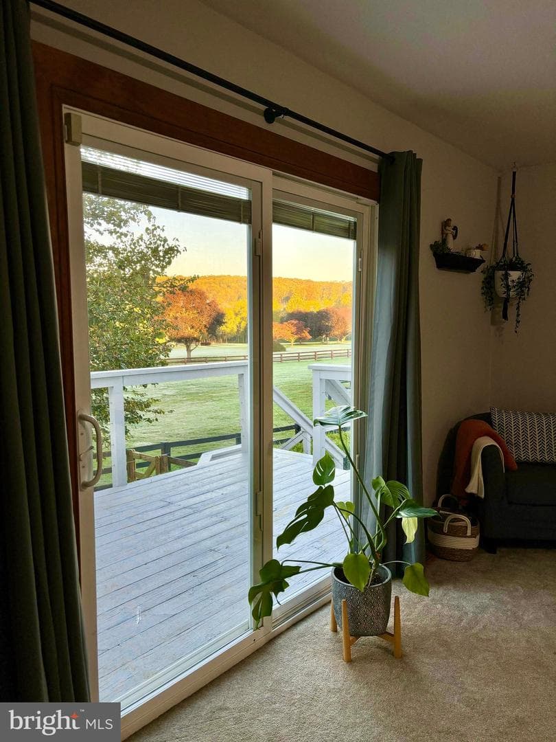 908 Priestford Road photo 25