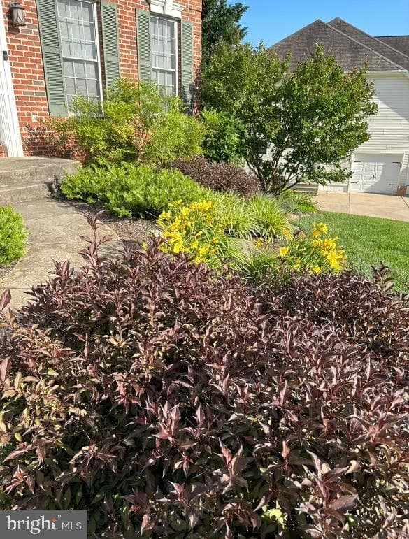 1119 Sunset Drive photo 49