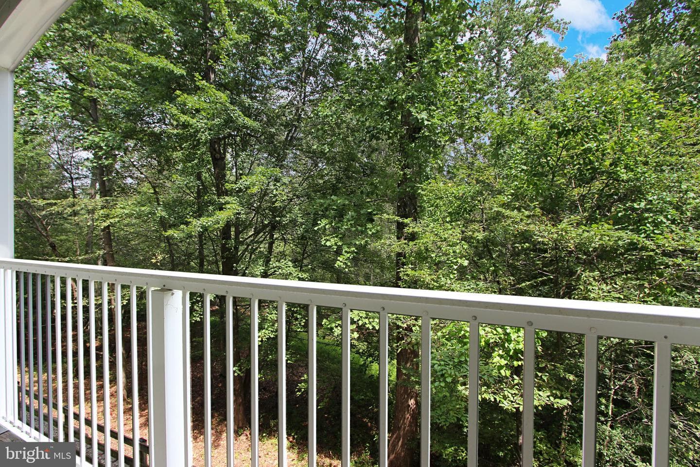 1003 Running Creek Way #23 photo 34