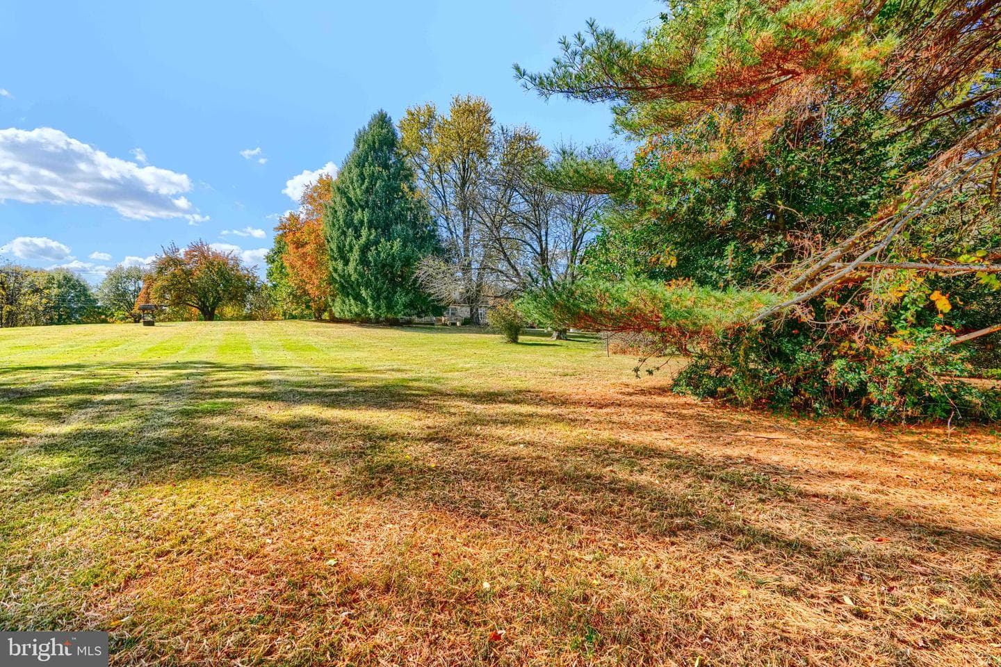 1817 Rock Spring Road photo 78