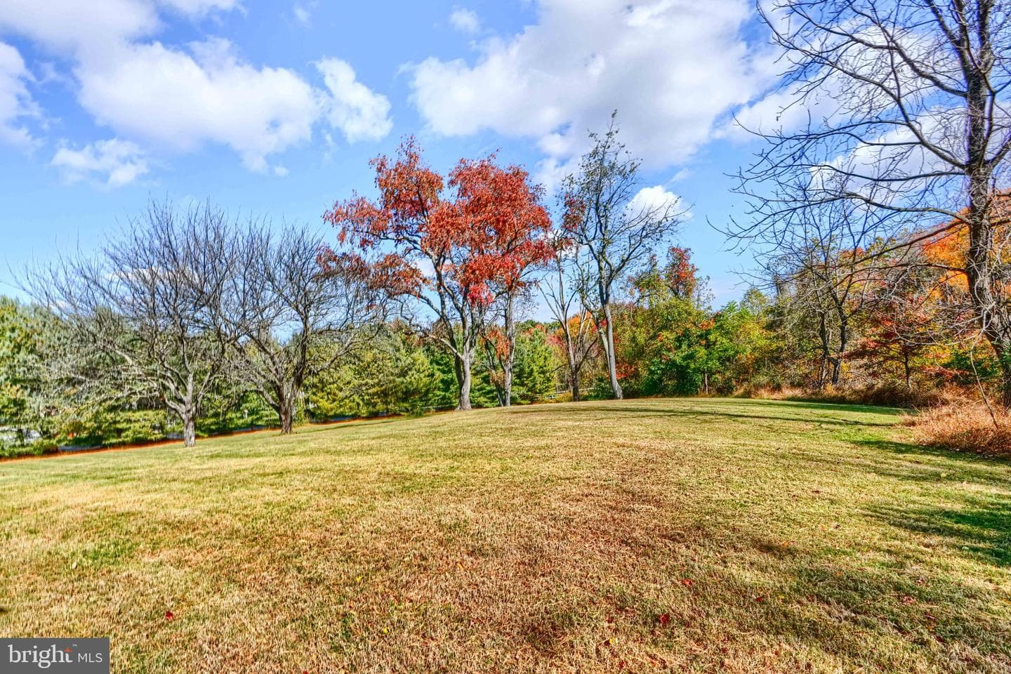 1817 Rock Spring Road photo 79
