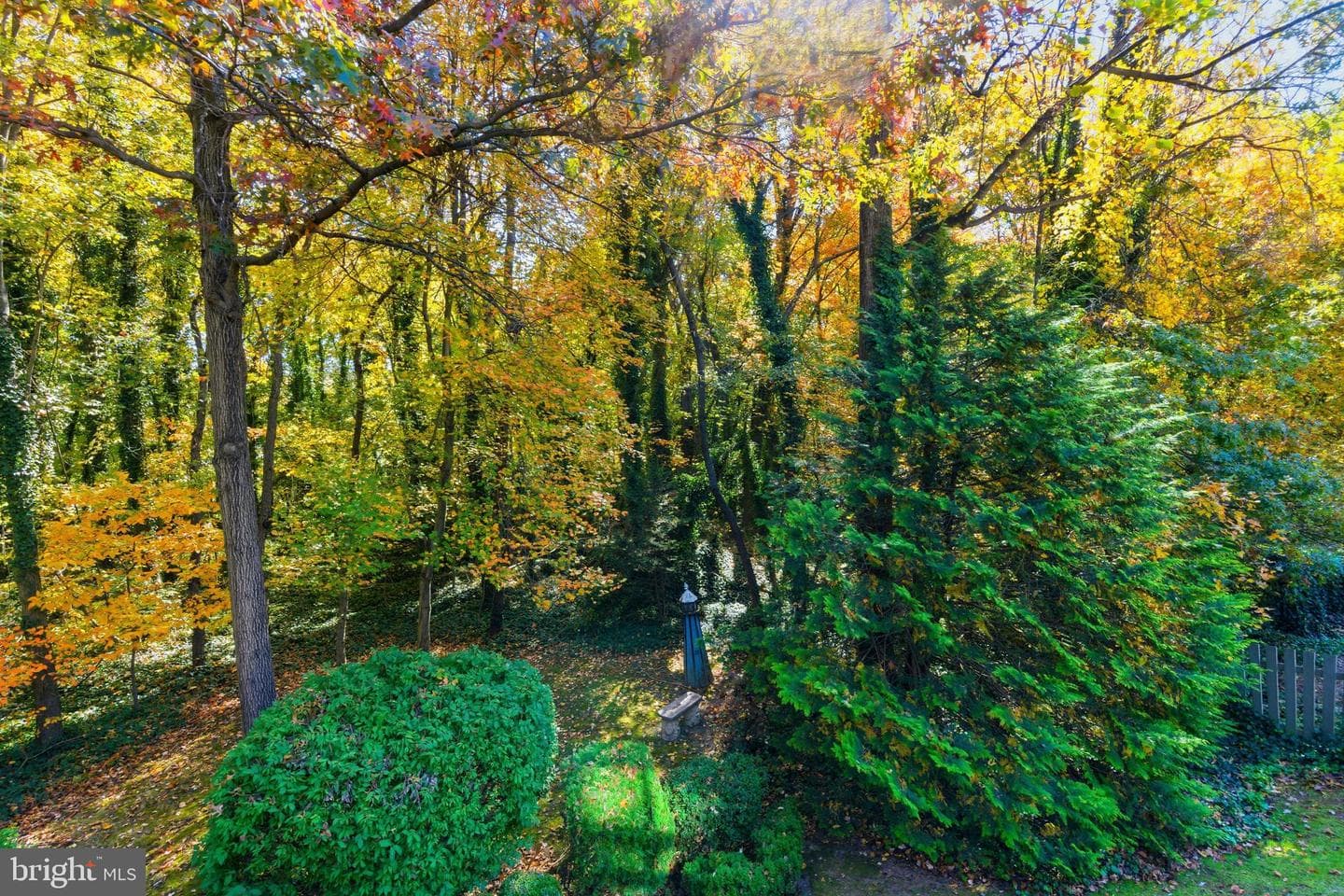 395 Enfield Road photo 40