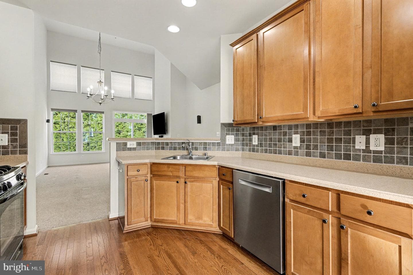 502 Counterpoint Circle photo 10