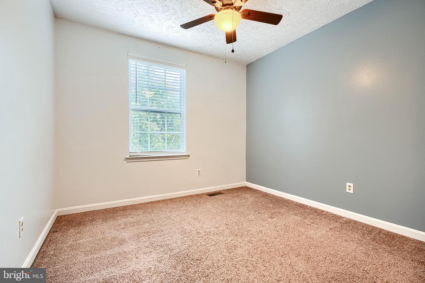 545 Hall Court photo 37