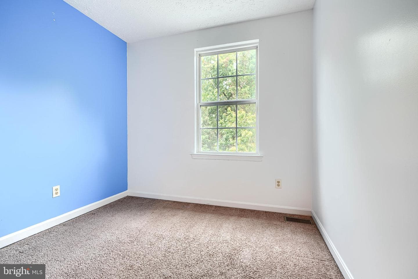 545 Hall Court photo 46