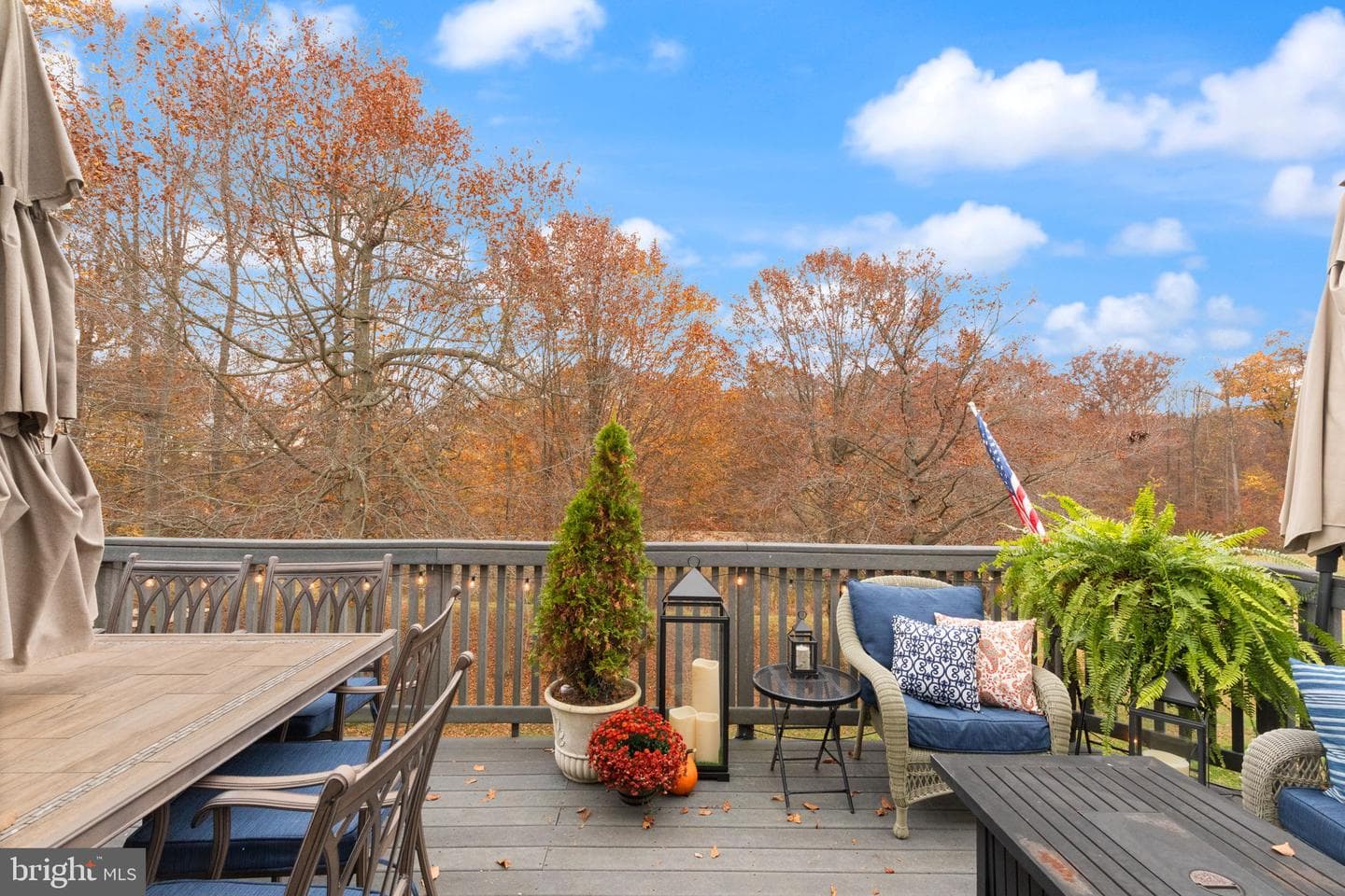 1011 Saddleback Way photo 50
