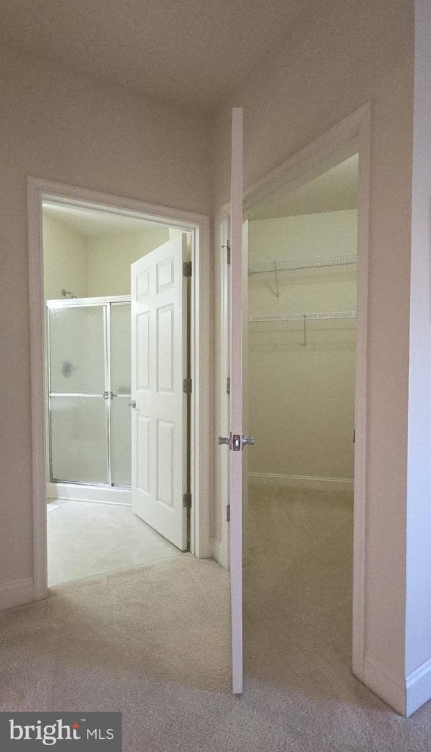 301 Tiree Court #303 photo 23