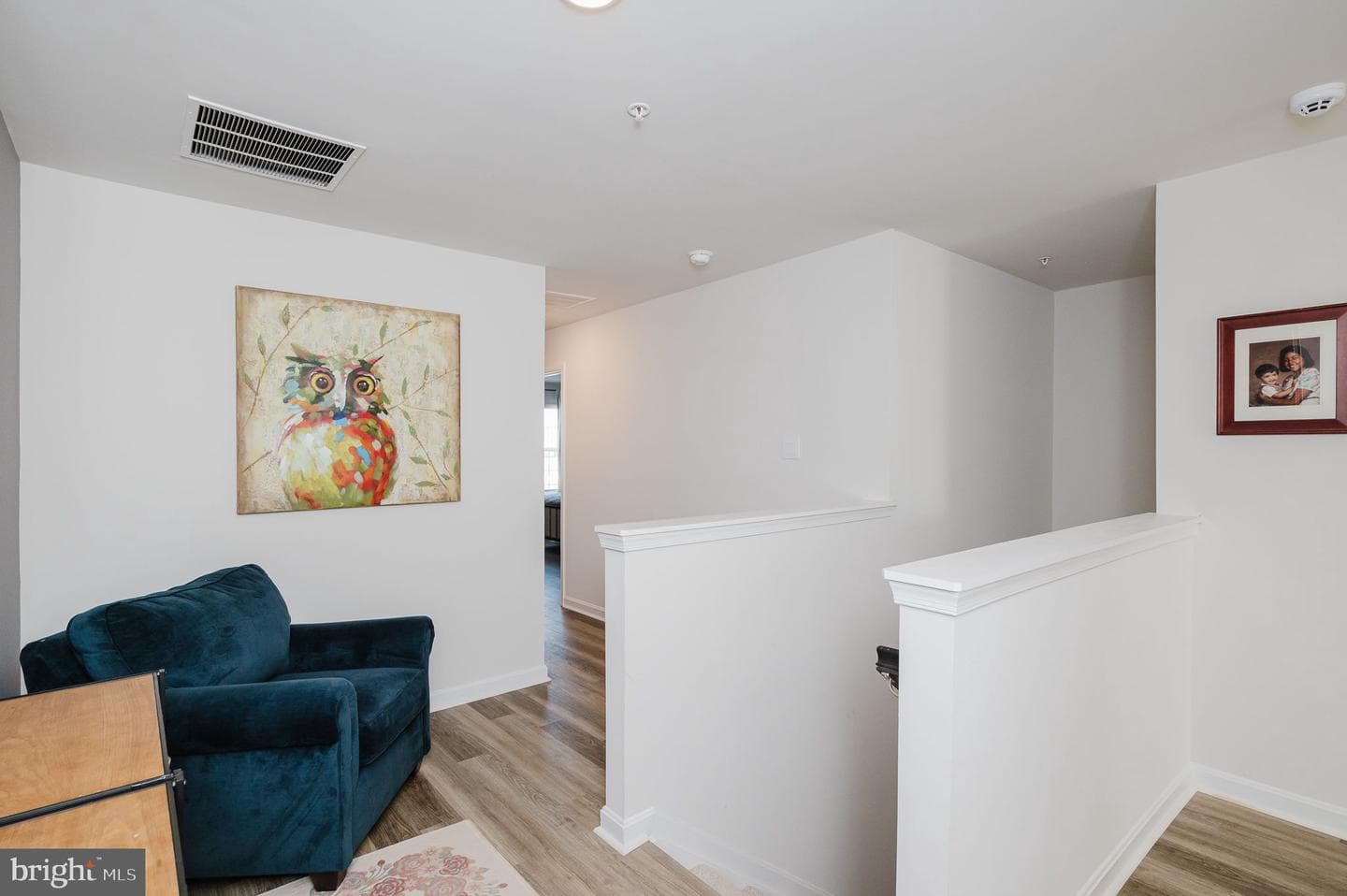 668 Beadlilly Way photo 19