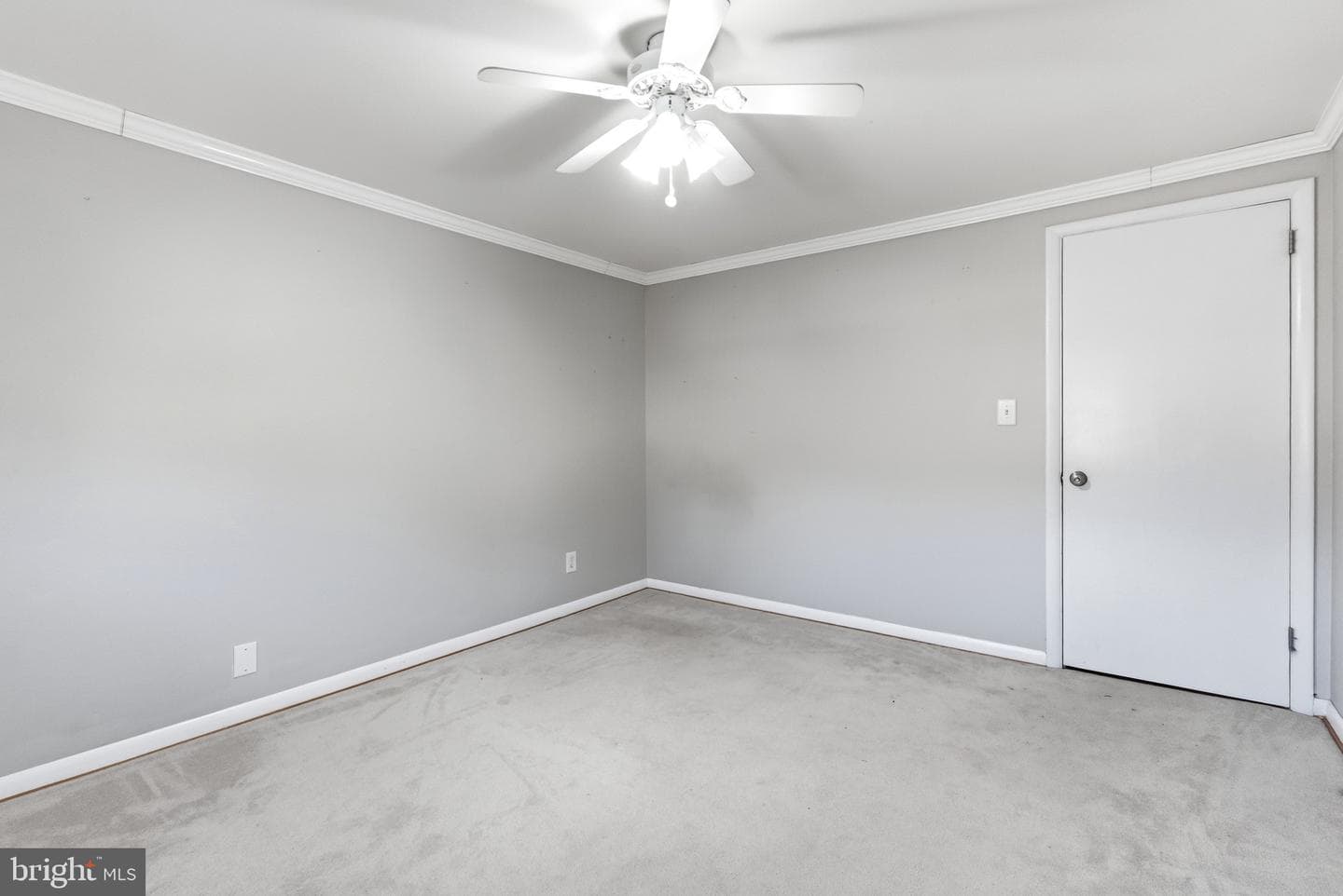 513 Courtland Place photo 20