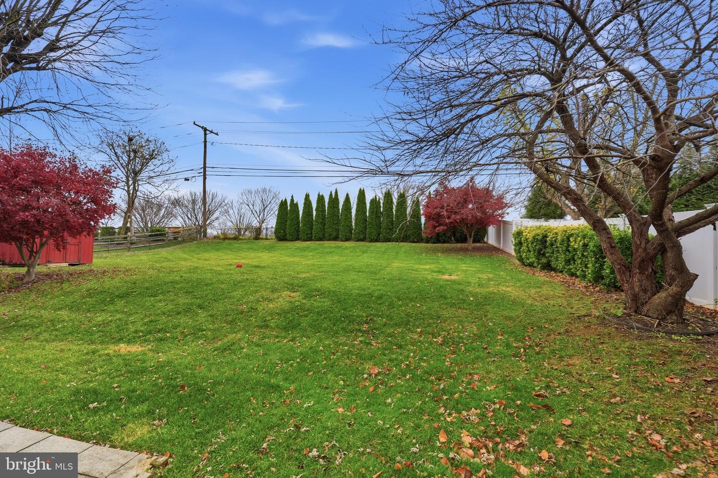 513 Courtland Place photo 34
