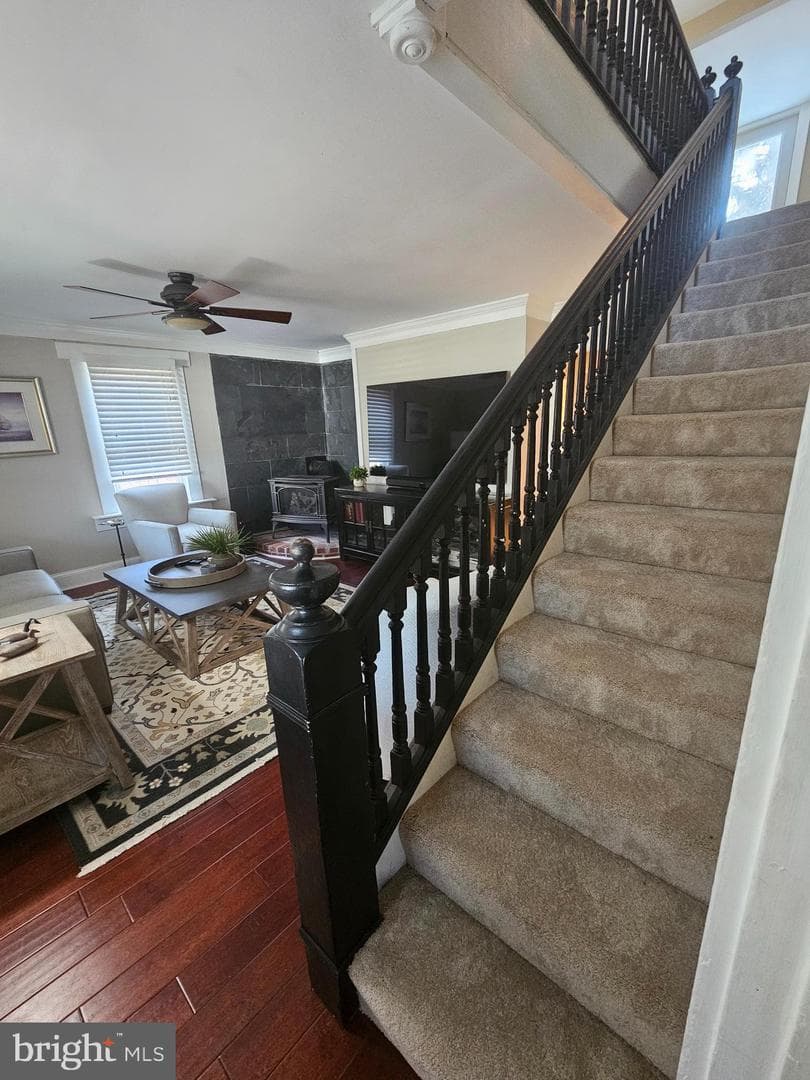 312 Lafayette Street photo 12