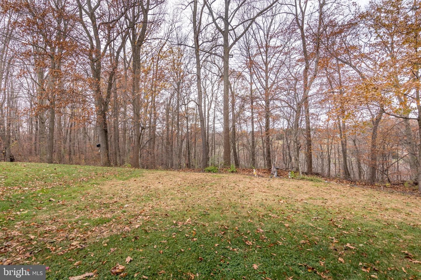 714 Shallow Ridge Court photo 34