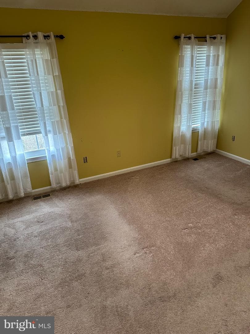 943 Fitzpatrick Drive photo 15