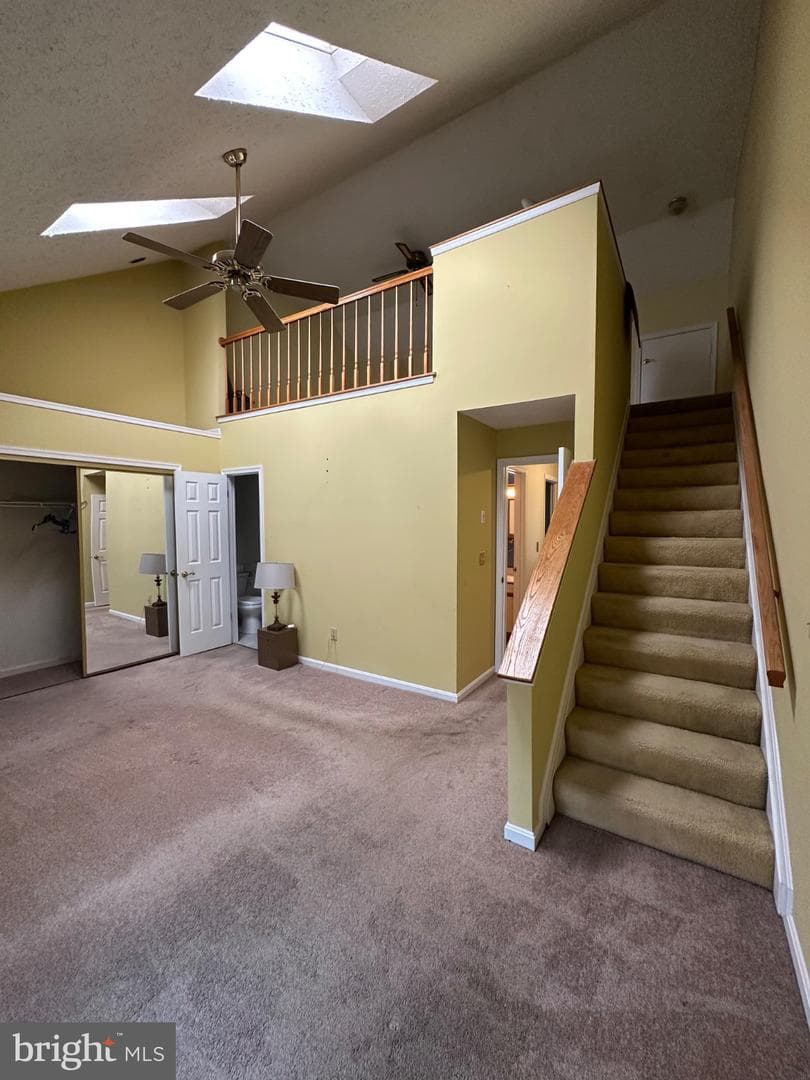 943 Fitzpatrick Drive photo 16