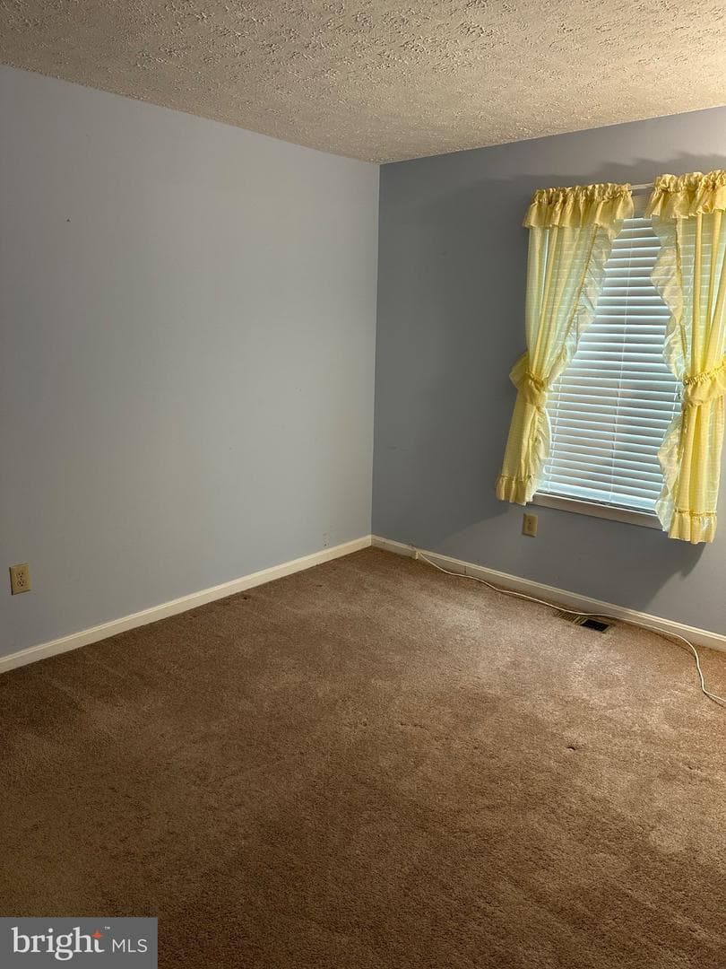 943 Fitzpatrick Drive photo 8