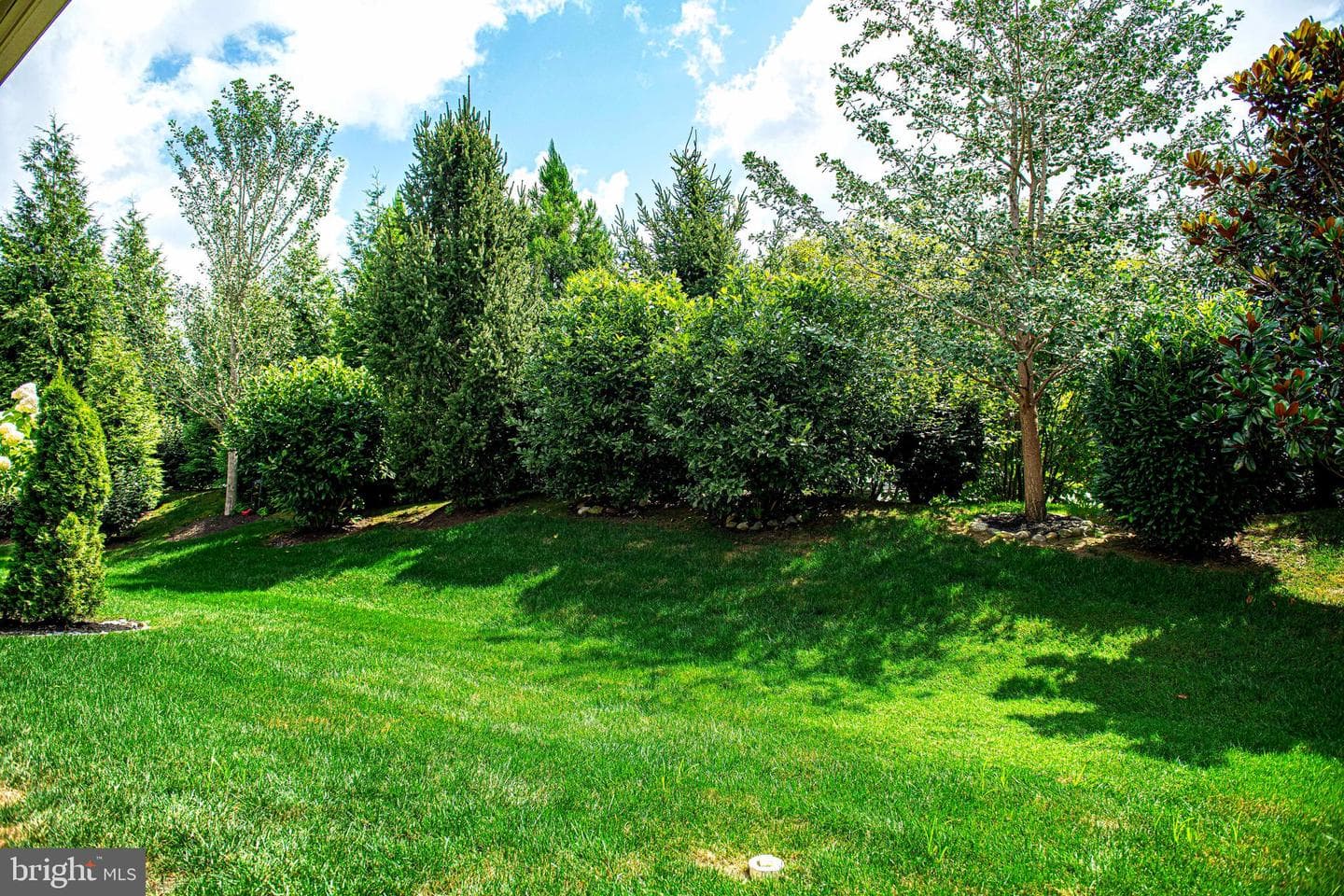 1404 Strathmore Drive photo 44