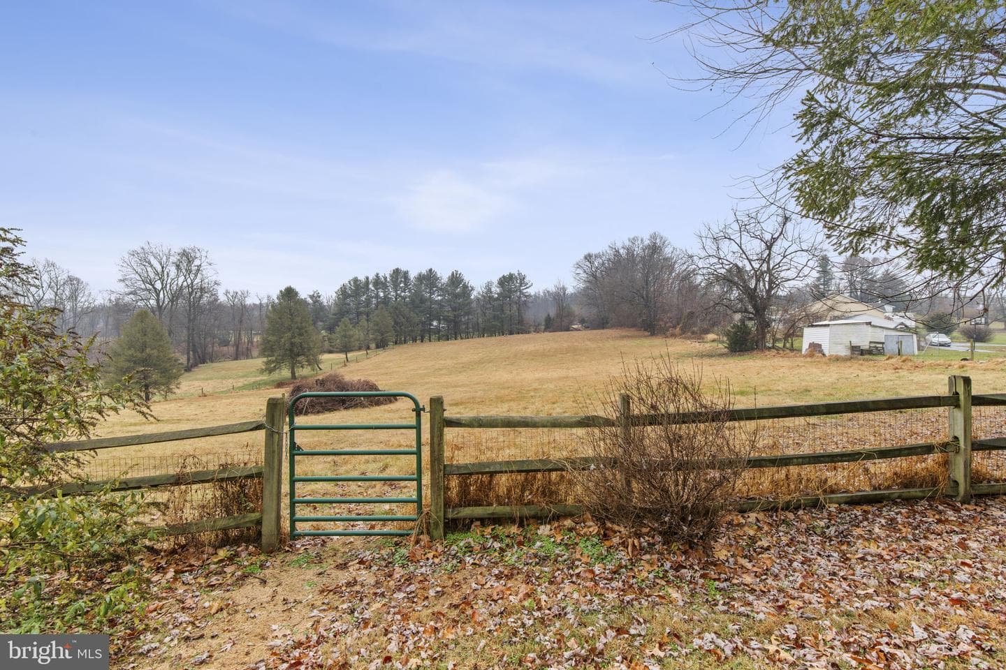 3956 Rush Road photo 57