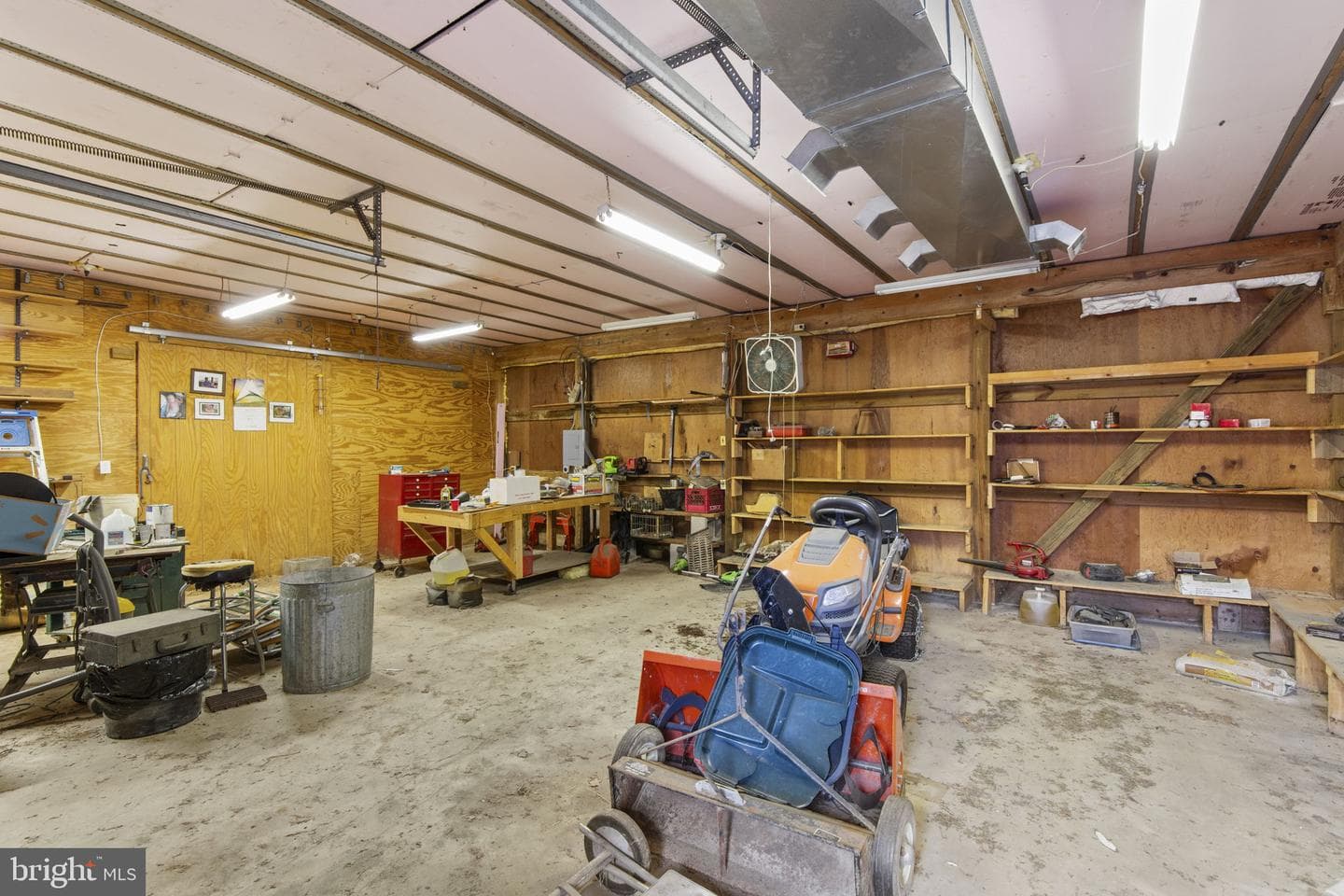 3956 Rush Road photo 62